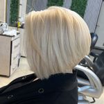 رنگ و لایت ژیلا امیری