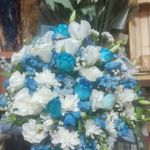 گلفروشی سی تو (ارسال رایگان)