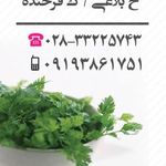 سبزینه