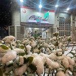 سبزینه