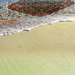 قالیشویی برف شادمهر