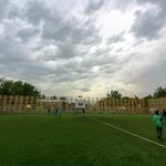 زمین چمن مصنوعی