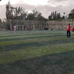 زمین چمن مصنوعی