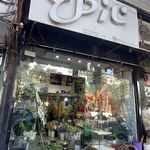 گل فرزیا