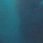 لوازم و تجهیزات ورزشی حامدیان اسپرت