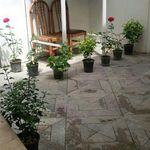 خوابگاه جمال زاده دانشگاه تهران