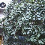 دفتر ثبت اسناد رسمی ۶۶ تهران