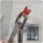 دندانپزشکی دکتر مریم مردعلی