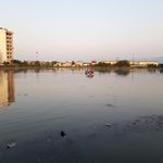 گیم نت رادین