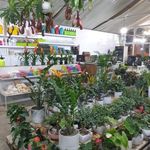 گلسرای مینیاتور
