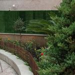 گلسرای مینیاتور