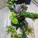 آکواریوم پردیس