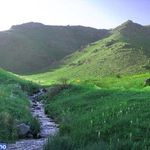 داستان لاله زار