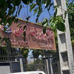 تالار ناهید