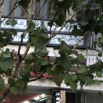 دوزندگی تهران ژیگموند