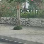 پارک حیدر آباد