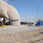 پارک زیتون