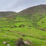 پارک کوهستانی پیرمراد