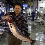 بازار ماهی فروشان کیاشهر