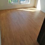 کاغذ دیواری و دکوراسیون رضوانی