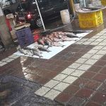 بازار ماهی فروشان کیاشهر