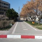 مجموعه ورزشی هتل پارس