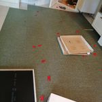 سیدروح الله نوروزیان