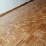 سیدروح الله نوروزیان