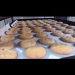 نان فانتزی نوری