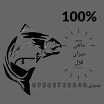 ماهی سرای قزل