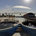 ماهی سرای قزل