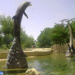 سرچشمه شوقان