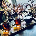 کافه رستوران برلین