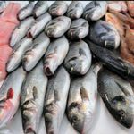 سوپر پروتئین صادقی