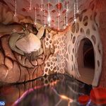 پارک علمی پروفسور بازیما