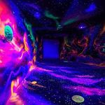 پارک علمی پروفسور بازیما