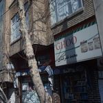 فروشگاه قو