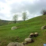 روستای خیارک