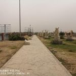 پارک مالیات