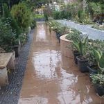 مزرعه گل شهرداری