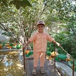 بازیهوش