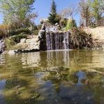 پارک بهارستان