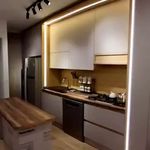طراحی و ساخت انواع کابینت و کمد دیواری