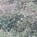 هتل رستوران جهانگردی مریوان