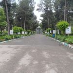 فضای سبز