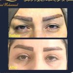 دکتر سید سجاد محمدی