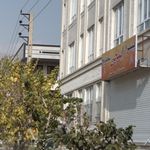 پیتزا اینچی ساندویچ