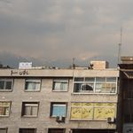 موسسه حقوقی
