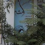سالن زیبایی الناز مرادی