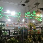 گل پرنس